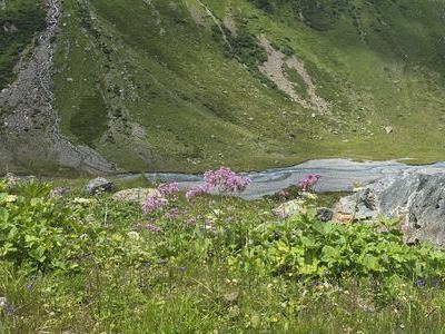 Gebirgsbach in Ischgl